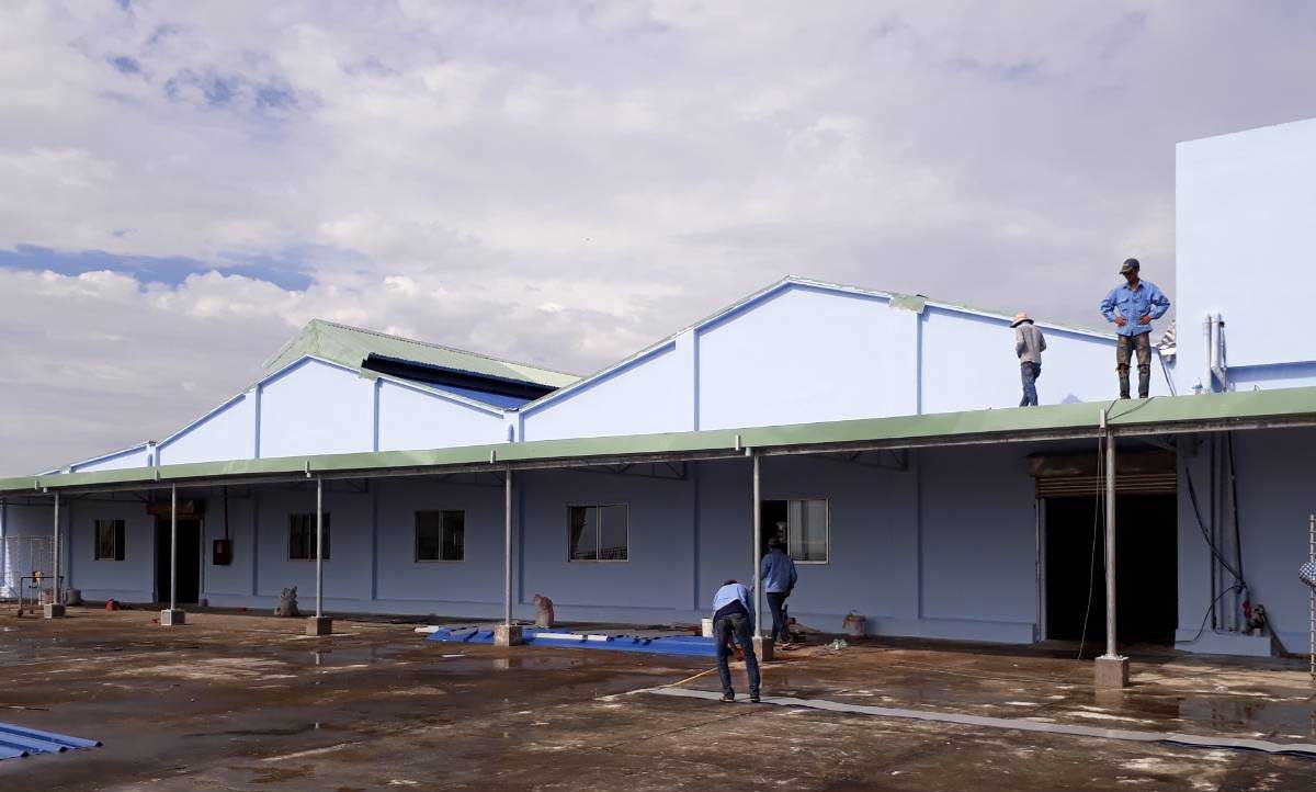 Thuê hay mua đất làm xưởng: Phương án nào tối ưu vốn cho người mới bắt đầu?