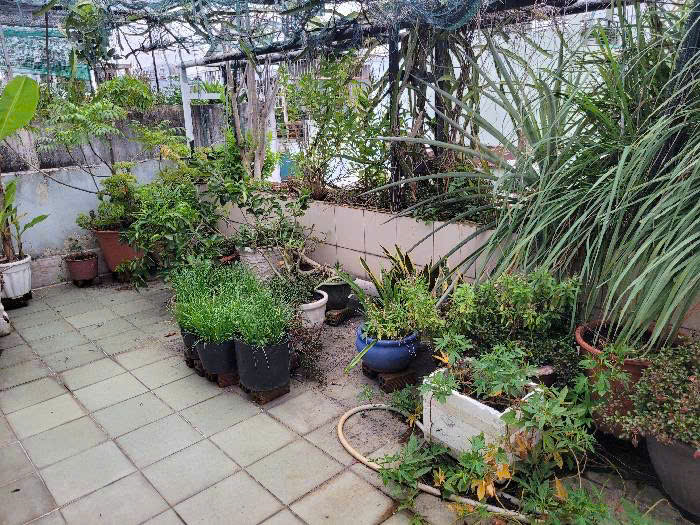 [CỰC HOT]Nhà 3 tầng đẹp - 6x15.5m(100m2) - Ô TÔ ngủ nhà - Lê Văn Thọ, P. 9 - Giá chỉ 8.6 tỷ